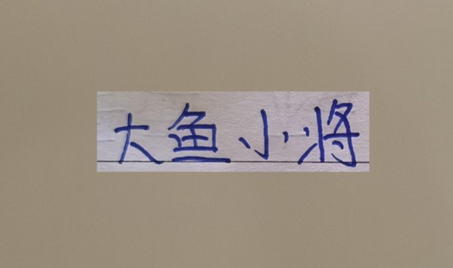 开云官网-超级杯海港新大鱼 带球和突破不亚于巴尔加斯！