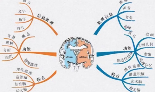 kaiyun-麻省理工最新研究：父母多和娃聊天，能让大脑发育更好，更聪明